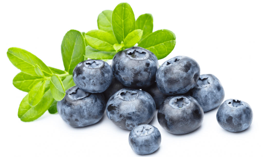 The #1 Best Resource: 17 Extraordinary Herbs For Eyes 27 Bilberry Herbs For Eyes