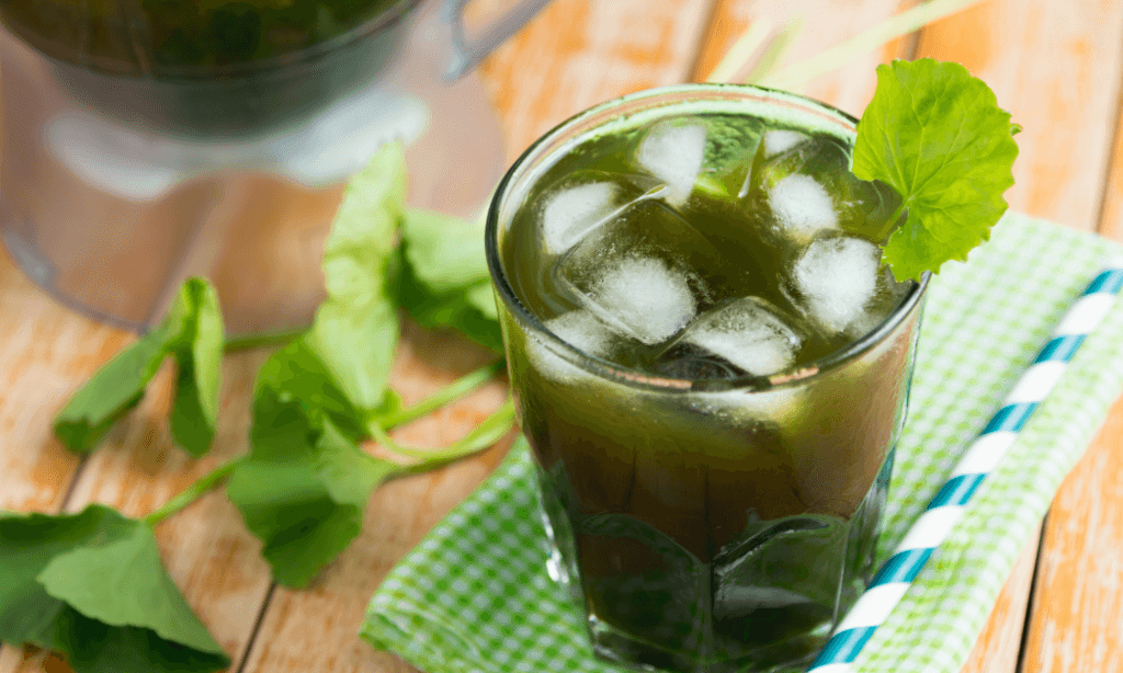 The #1 Best Resource: 17 Extraordinary Herbs For Eyes 43 Gotu Kola FAQ's
