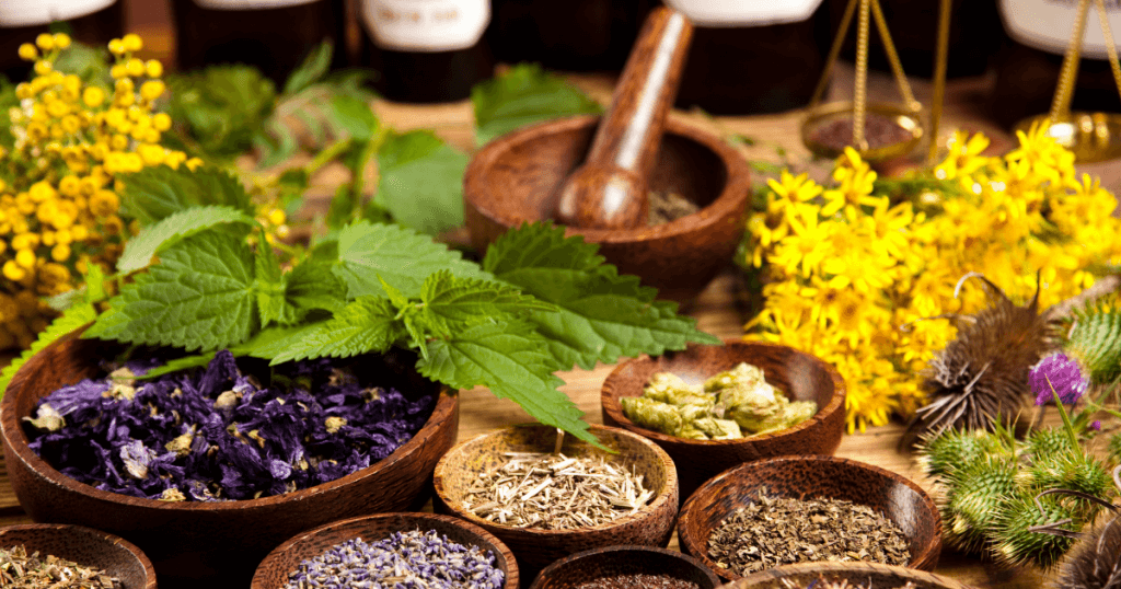 The #1 Best Resource: 17 Extraordinary Herbs For Eyes 25 Herbs For Eyes