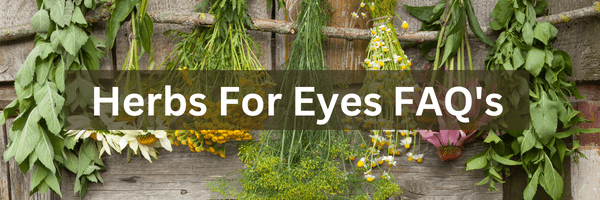 The #1 Best Resource: 17 Extraordinary Herbs For Eyes 41 Herbs For Eyes FAQ's