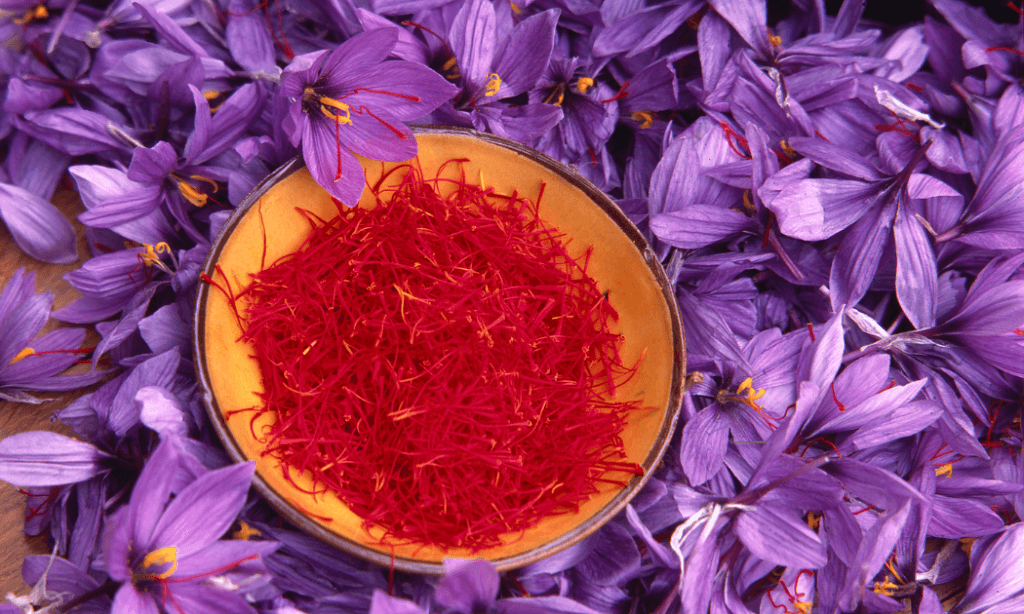 The #1 Best Resource: 17 Extraordinary Herbs For Eyes 37 Saffron Herbs For Eyes